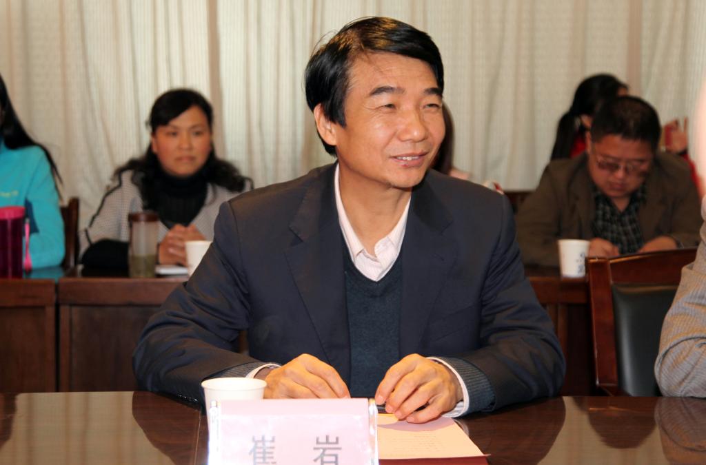 新蒲京官网院长崔岩讲话